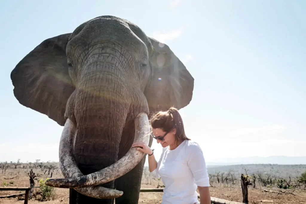 Zulu Safaris-Manyoni Game Reserve