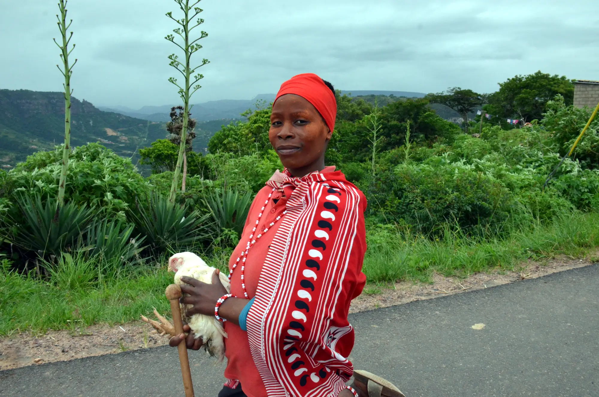 Zulu Safaris-Zulu Oracle-Traditional Herbalist Experience