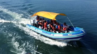 zulu-safaris-whale-dolphin-tours-03